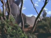 الرجل الحديدي