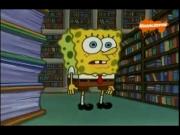 سبونج بوب