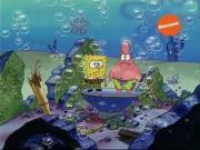 سبونج بوب الموسم 2