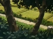 نينجا كابامارو