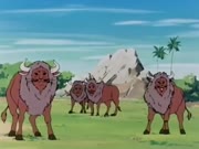 حماة الكواكب