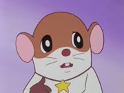 شهلاء اليتيمة