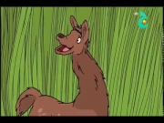 القط ذو القبعة