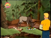 الفرقة الجوية