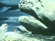 الليث الأبيض الجزء 2