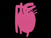 كان يا مكان الحياة