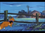 الغابة الخضراء