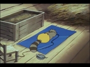 الغابة الخضراء