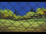 الغابة الخضراء