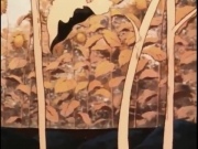 سالي في رحلة العجائب