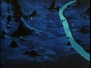 سالي في رحلة العجائب