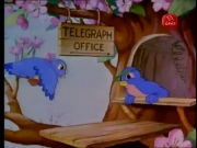 أجمل الحكايات