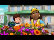 دوريات المخلاب الموسم 2