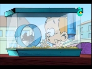 سبيرو الصغير