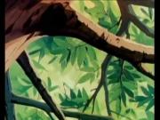 مغامرات سنجوب