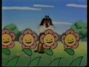 حروف وكلمات 