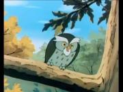 مغامرات سنجوب