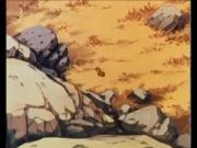 مغامرات سنجوب