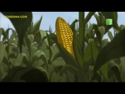 جي أي جو الباحثون عن العدالة 