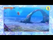 نادي وينكس الموسم 5