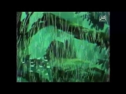 مغامرات هاني 