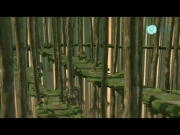 ابطال ليوكو 