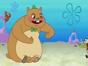 سبونج بوب الموسم 8