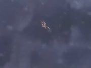 مونستر هنتر ستوريس الجزء 1