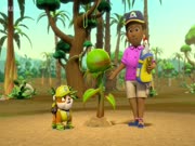 دوريات المخلاب الموسم 3