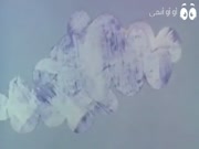 حكايات من الماضي