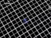 اولاد الجيران