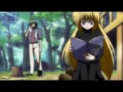 القط الأسود