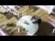 القط الأسود