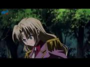 القط الأسود