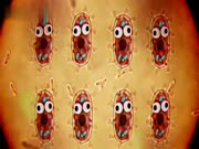 عالم غامبول المدهش الموسم 2