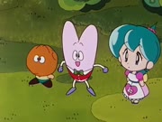 جانكي الصغير