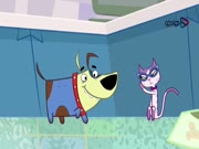 يوميات صافي