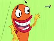 يوميات صافي