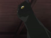 بليتش الموسم 2