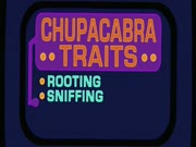 فارس وفادي الموسم 4