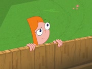 فارس وفادي الموسم 4