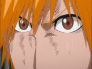 بليتش الموس 14