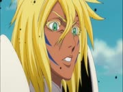 بليتش الموس 14