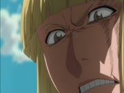 بليتش الموس 14