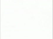 بليتش الموس 14