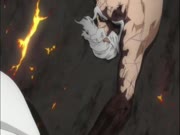 بليتش الموس 14