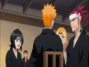 بليتش الموس 14