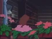 مخلص صديق الحيوان