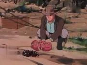 مخلص صديق الحيوان