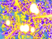 ابطال الديجيتال 2020